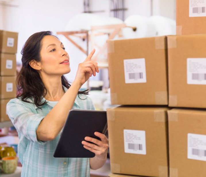 programa para inventario y ventas