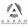 Absam