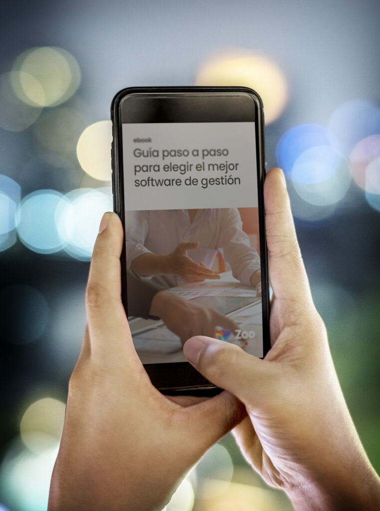 Sistema de gestión: qué clase de software se adapta mejor a las necesidades de tu empresa?